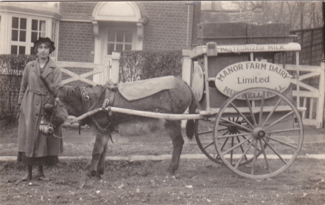 Manor Dairy delivery cart circa 1907.