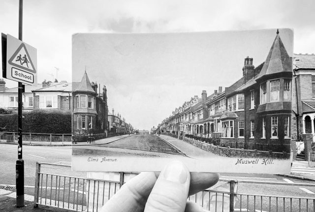 Elms Avenue